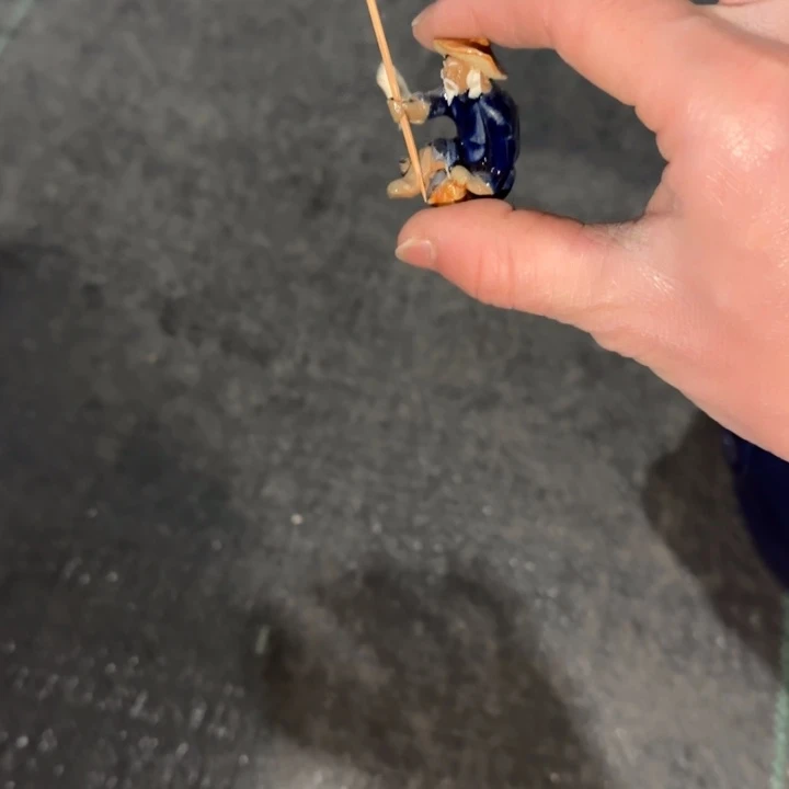 红陶年底最后一波玩的开心