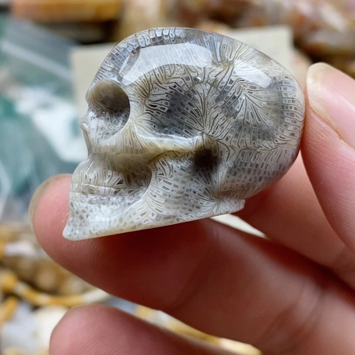 石英质玉未镶嵌颈饰