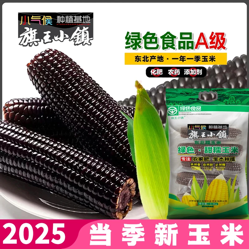 旗王小镇黑甜糯玉米2025头茬绿色A级鲜嫩加热香甜玉米黑玉米甜糯