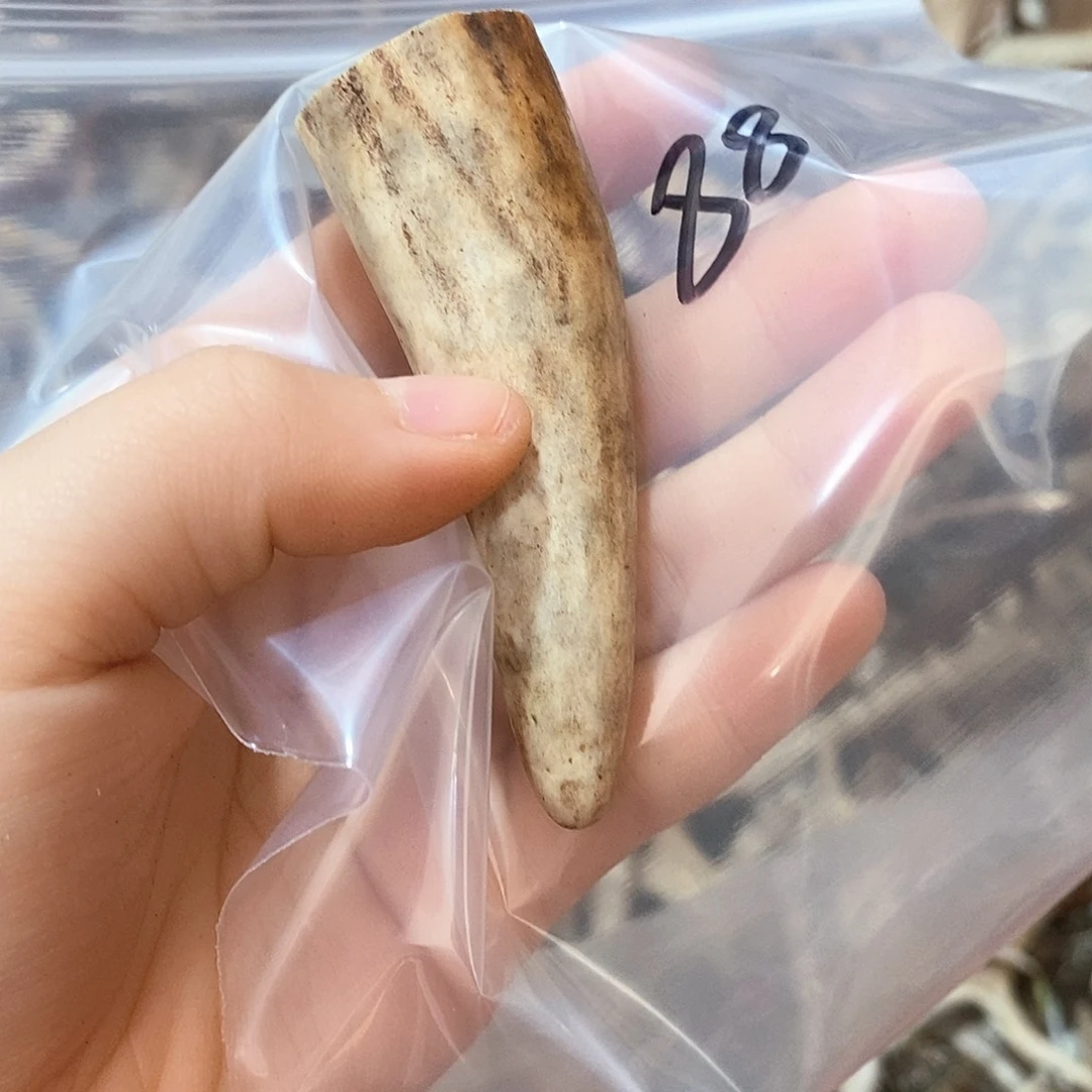 鹿角鹿角鹿鹿角鹿角