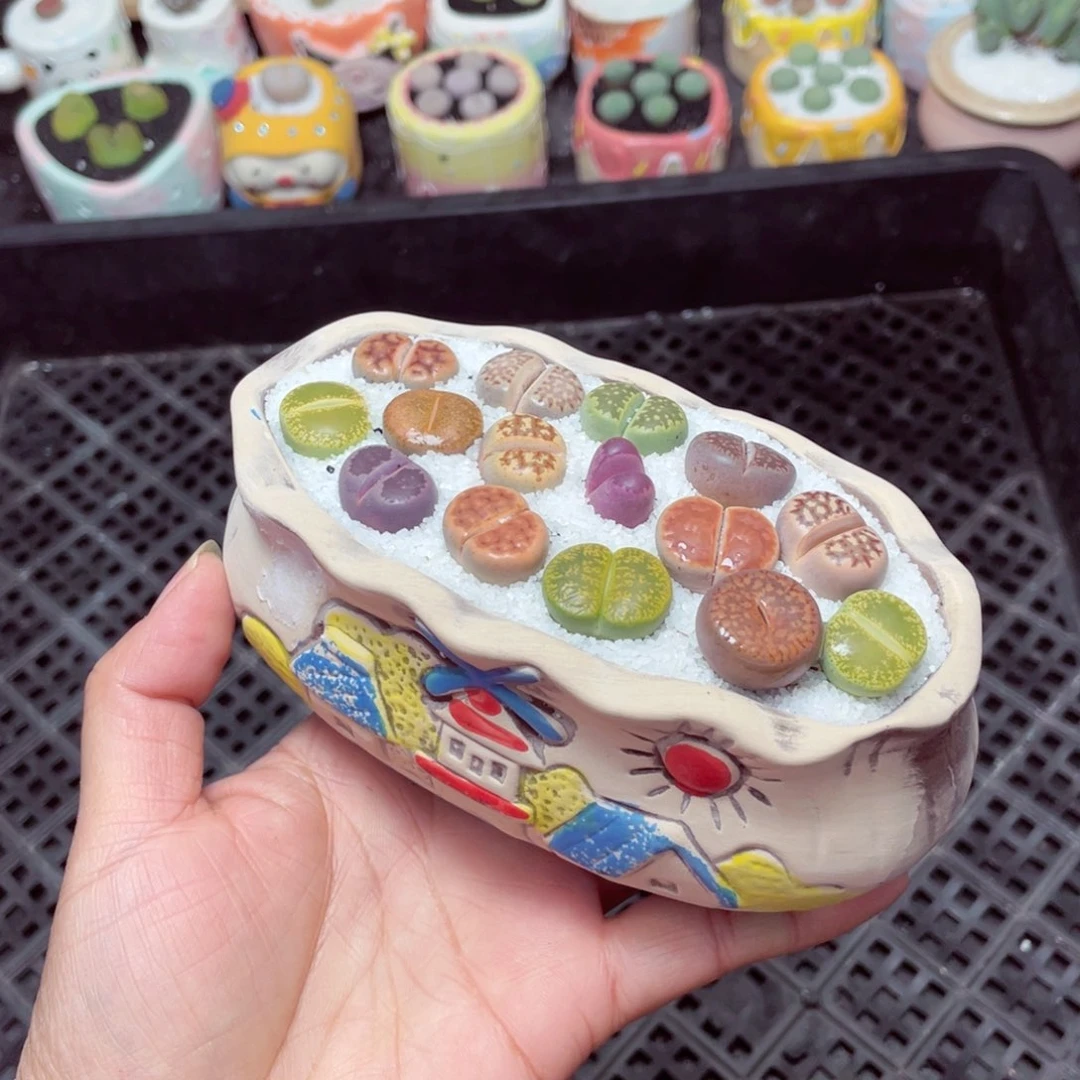 w1517 零下地区拍保温箱-15支持寄养