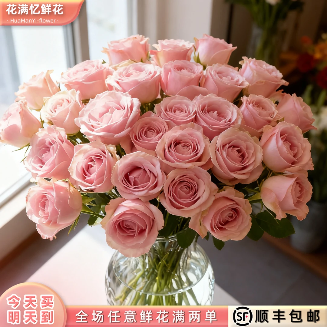 次日达-【粉雪山玫瑰】30枝单头玫瑰鲜花批发直播任意两单升级顺丰包邮三单送随机花瓶一个今天拍明天到