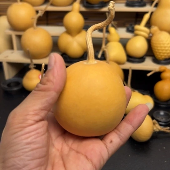 晨*大15899989888999