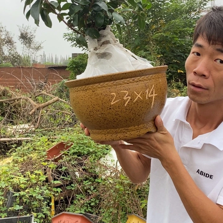 花盆紫砂没有什么不可以的事情