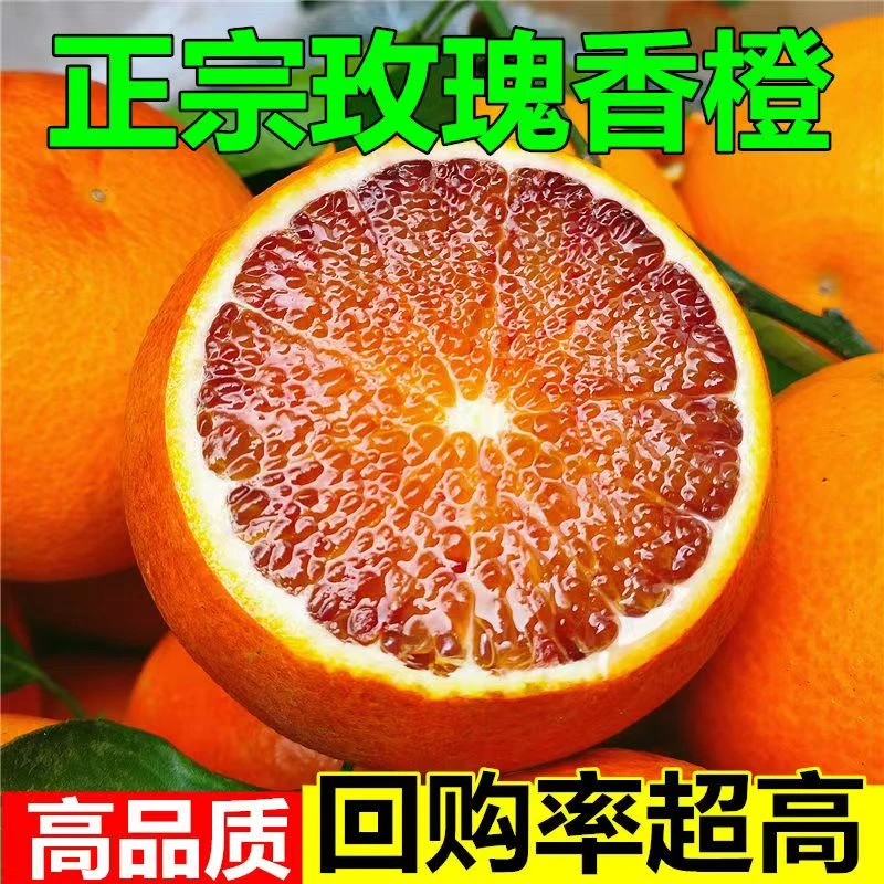 新鲜橙子正宗玫瑰香橙塔罗科血橙现摘当季水果果园直发带箱9-10斤
