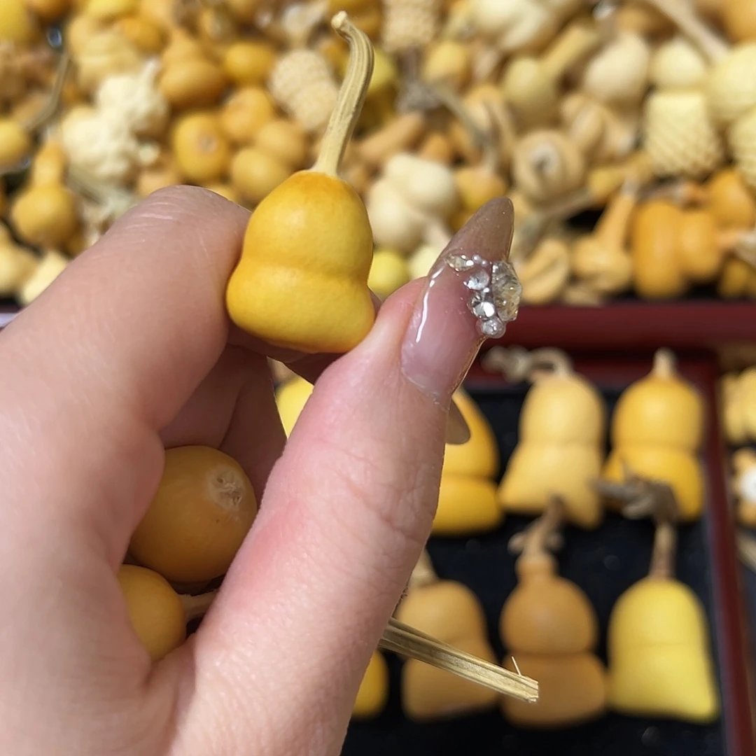 家*宝葫芦葫芦葫芦葫芦