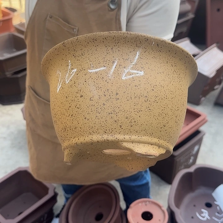 花盆紫砂是一个不