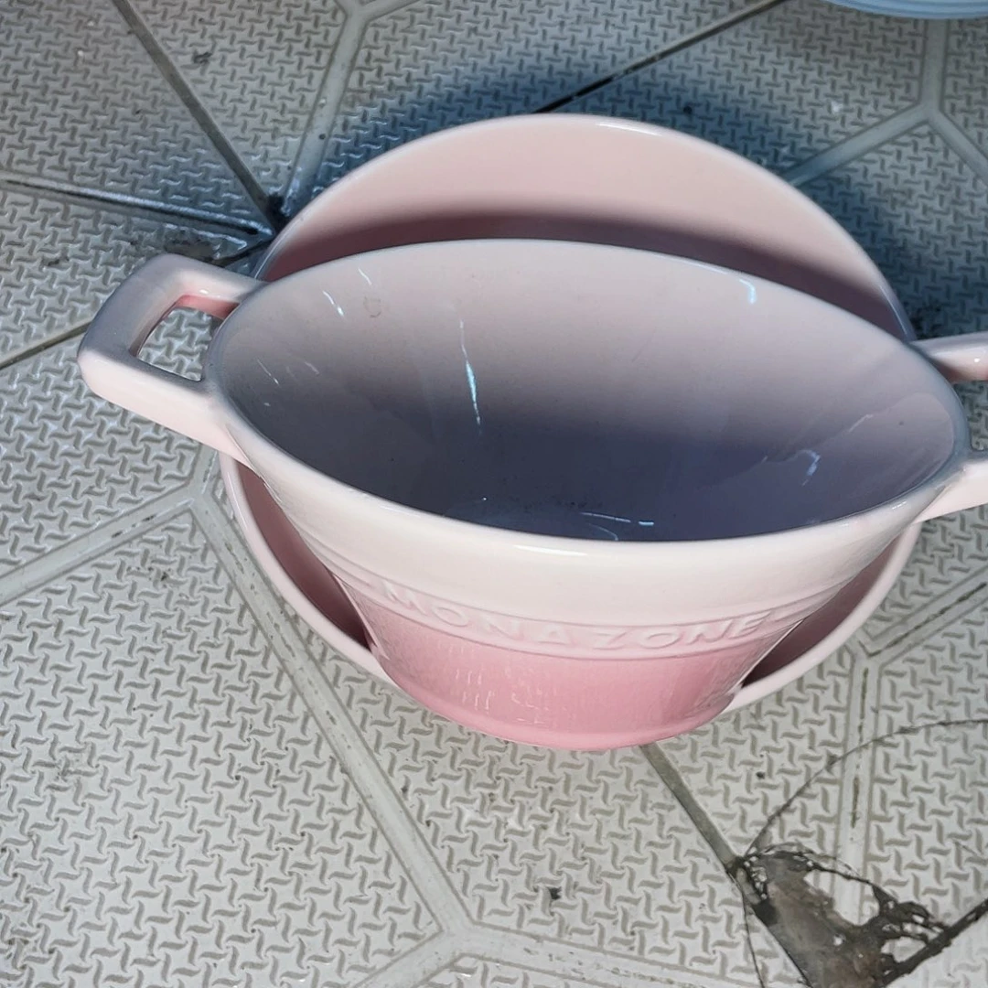 瓷片瑕疵明显 不影响使用