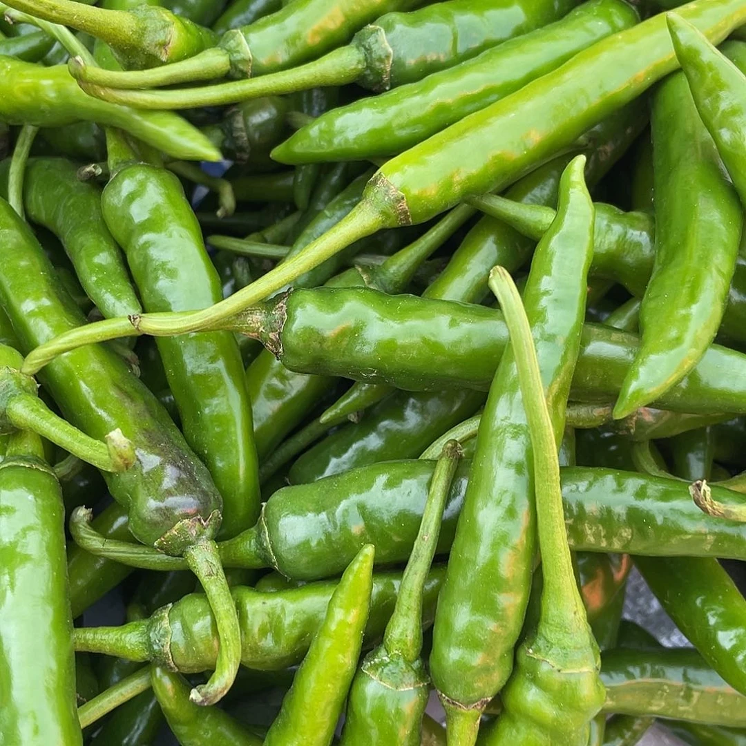 中国大陆大黄皮椒三斤含箱赶集