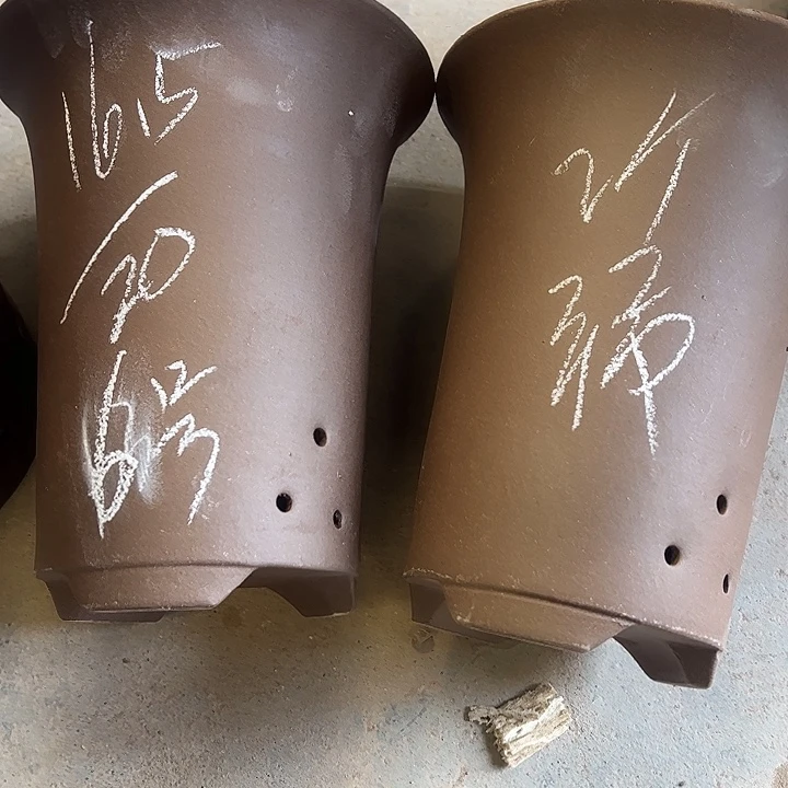 6号宜兴紫砂花盆里