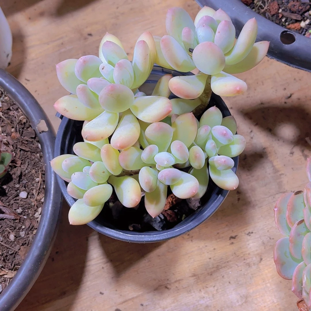 ?*喜000000000000000147