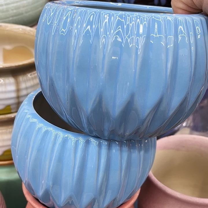 多肉植物陶瓷花盆