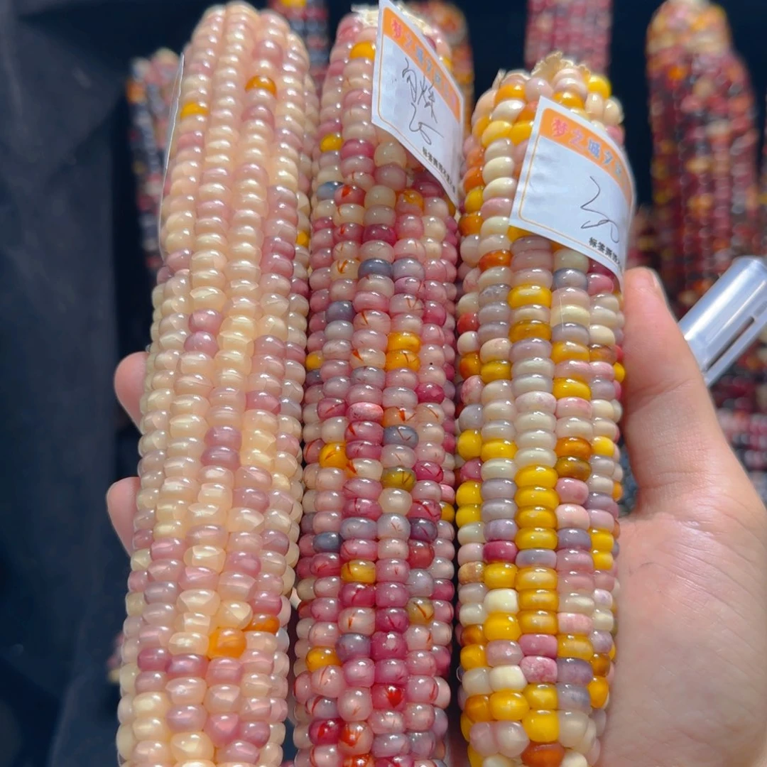 玉米闪****⭐文玩玉米