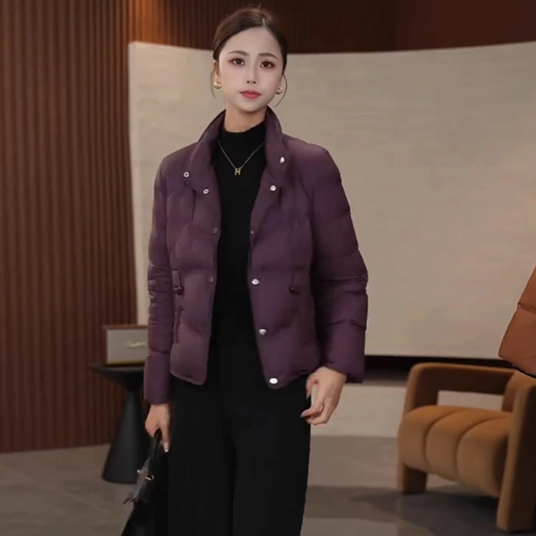时尚轻薄立领羽绒服女2025冬季新款洋气宽松休闲保暖百搭短款外套