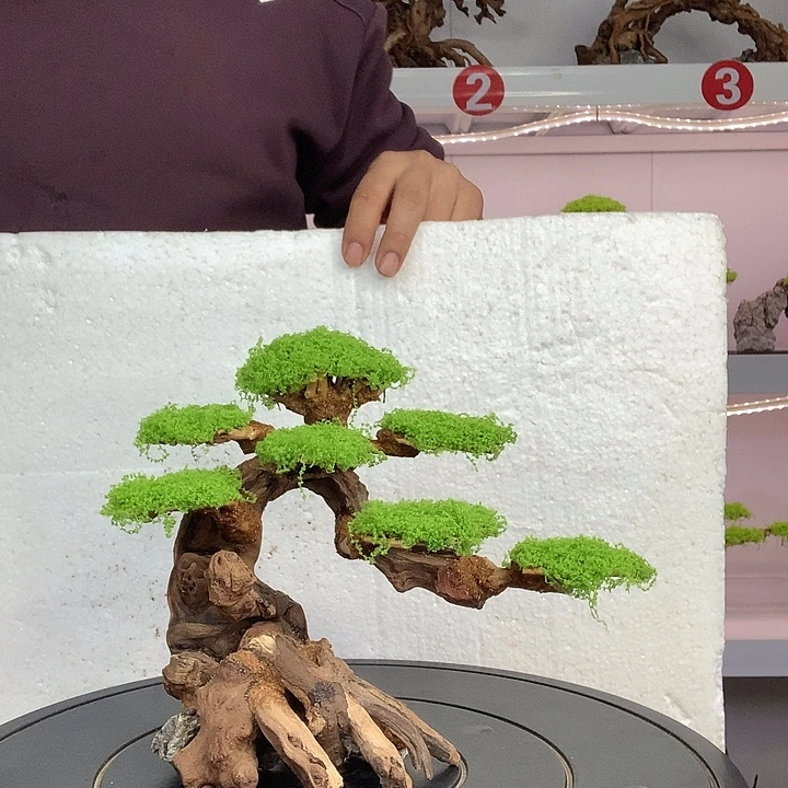 褶***莫斯树29哈哈哈哈哈