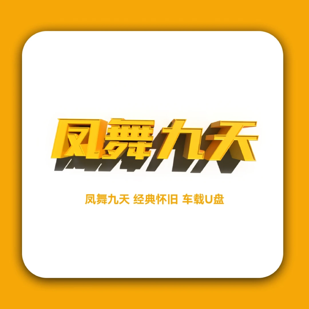 凤舞九天车载U盘