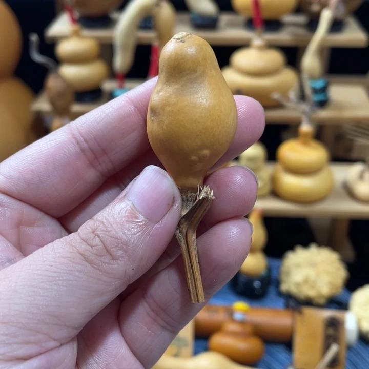 后***帝7美好的一天从吃瓜开始