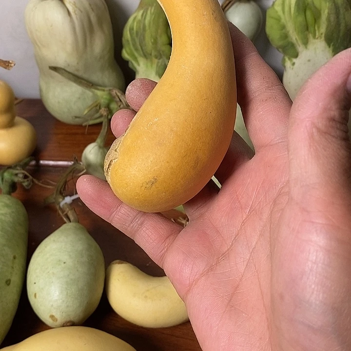 你****青皮葫芦手把件摆件