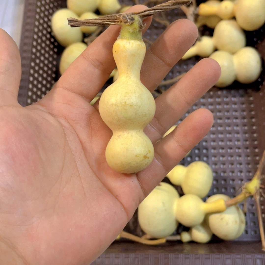 多***福感谢大哥支持兄弟不保