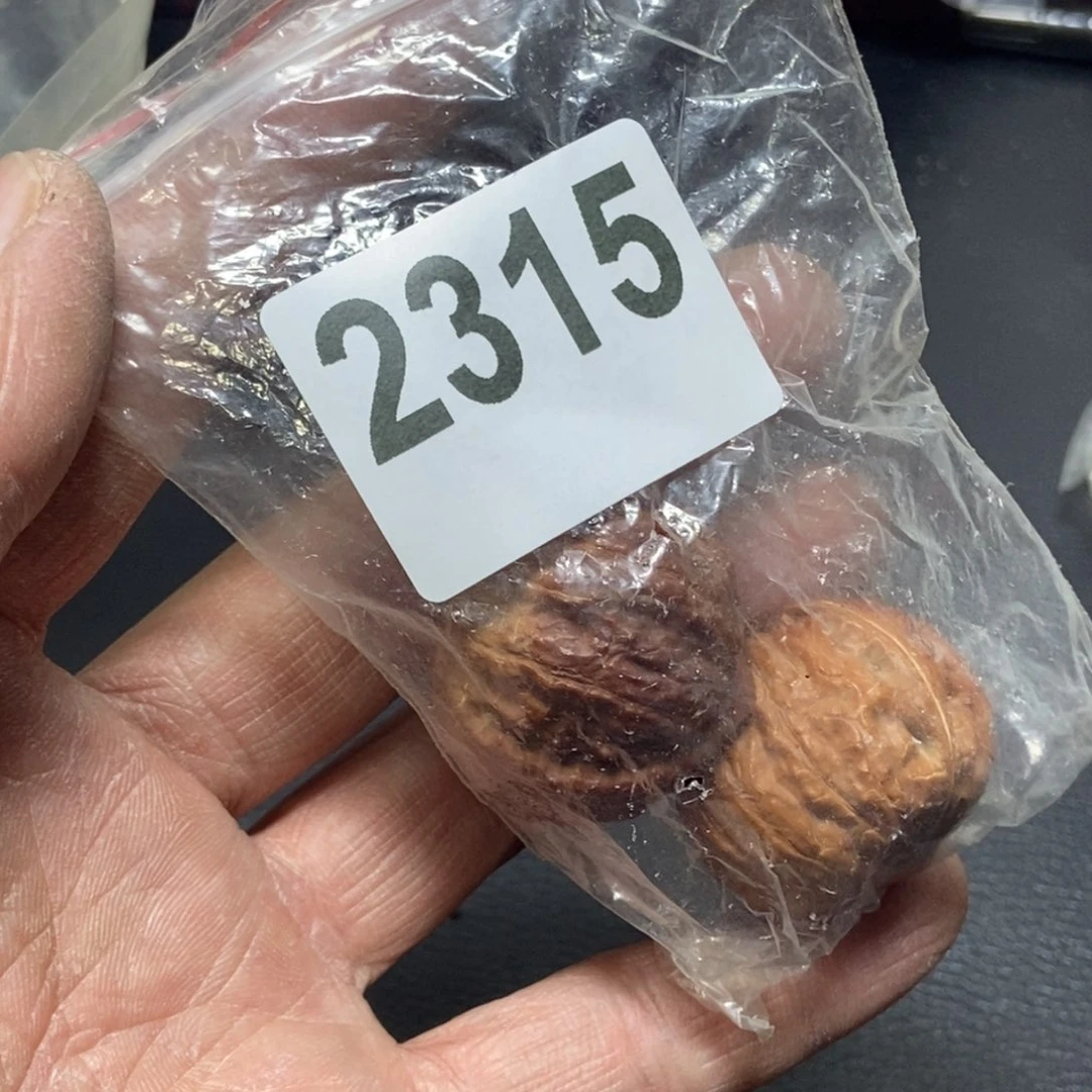 文玩核桃吊坠糖*丶秋子