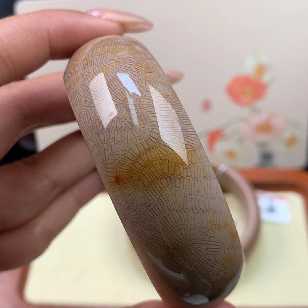 【闪购商品】颈饰未镶嵌硅化珊瑚（珊瑚玉）16号 超美脑纹