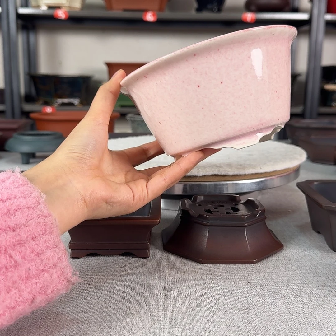 紫砂花盆福利款哈哈