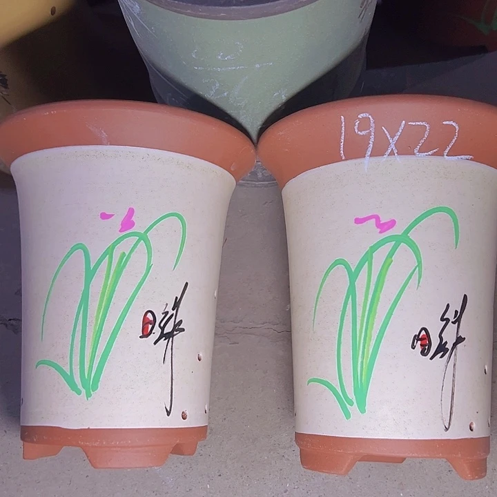 周深周深周深周深周深