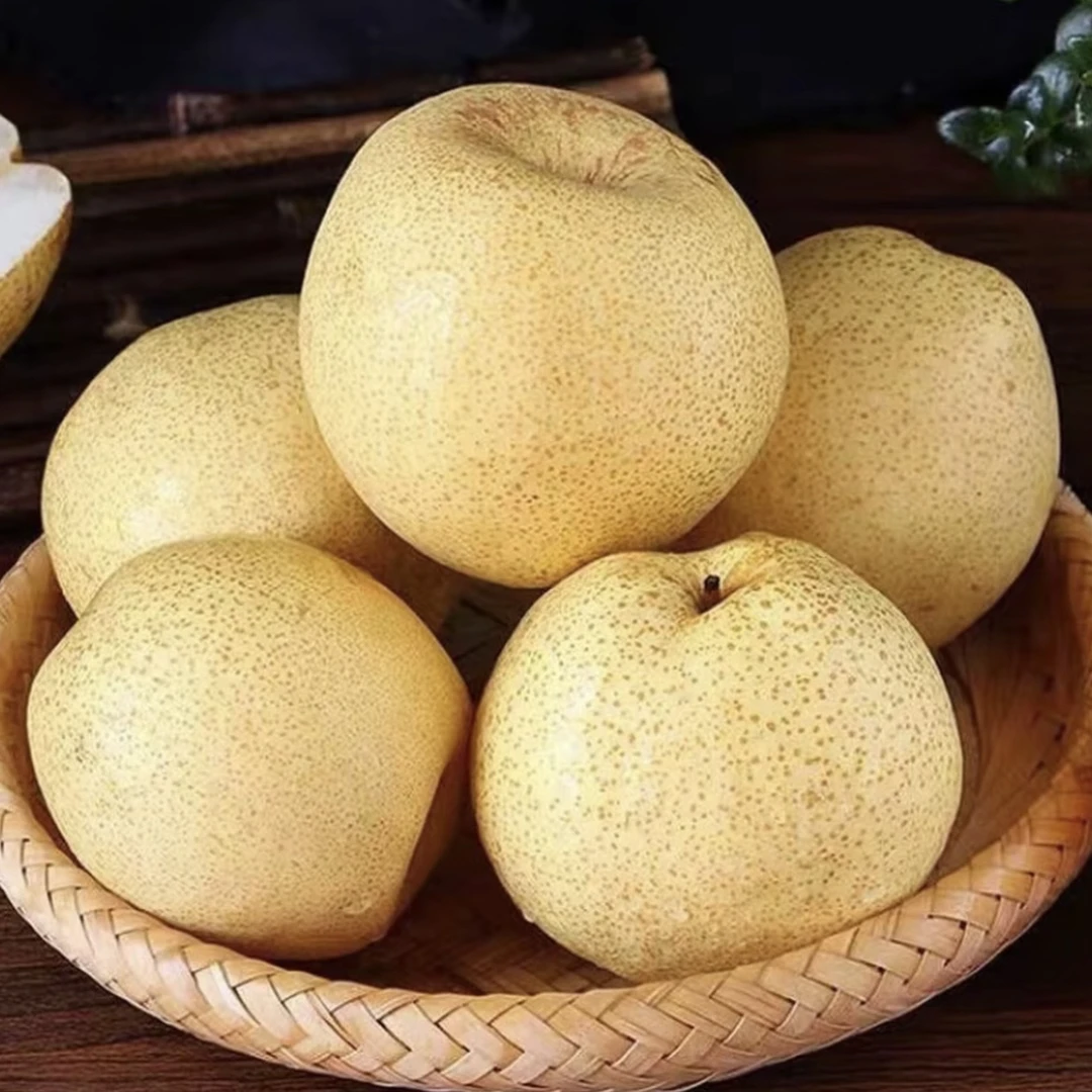 砀山梨水果散装5斤安徽省