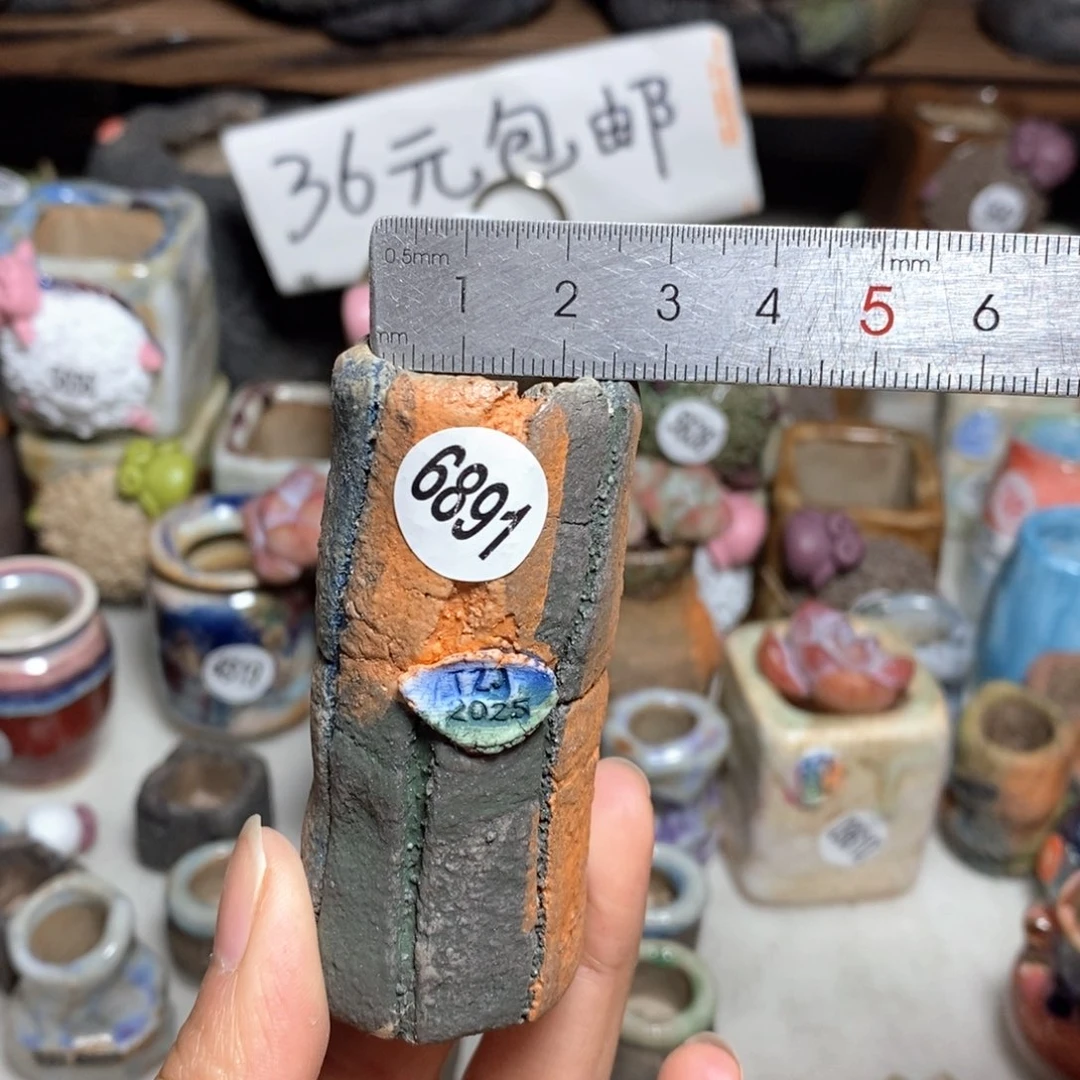 拍3送一个小礼物