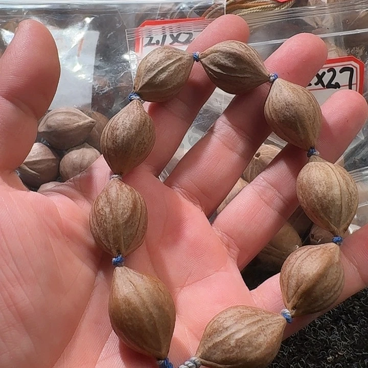 吊坠橄榄核1.8素核