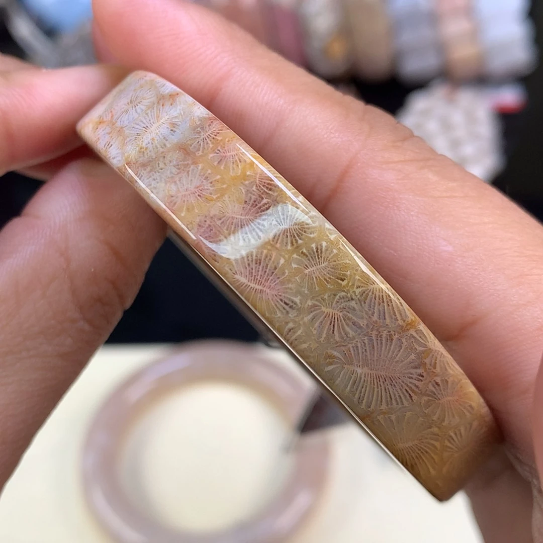 【闪购商品】颈饰未镶嵌硅化珊瑚（珊瑚玉）51号蒲公英虫54圈