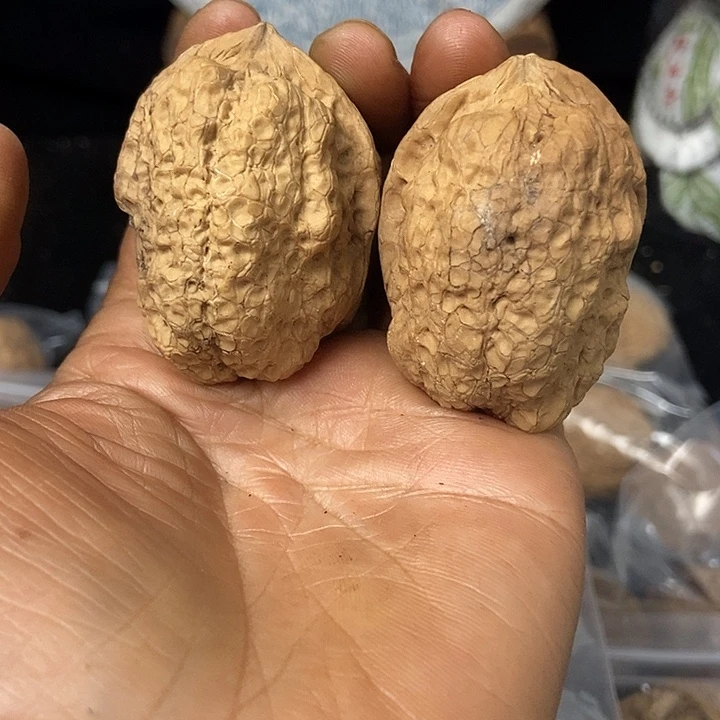 把件文玩核桃云南铁核桃基地43