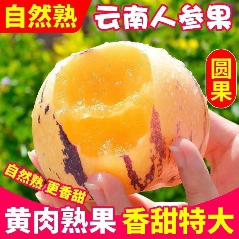 5斤装云南人参果树熟黄肉圆果清甜多汁新鲜水果
