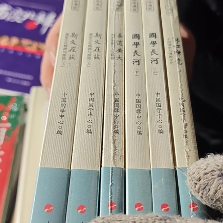 中国国学通览6本一套（务必塑封）