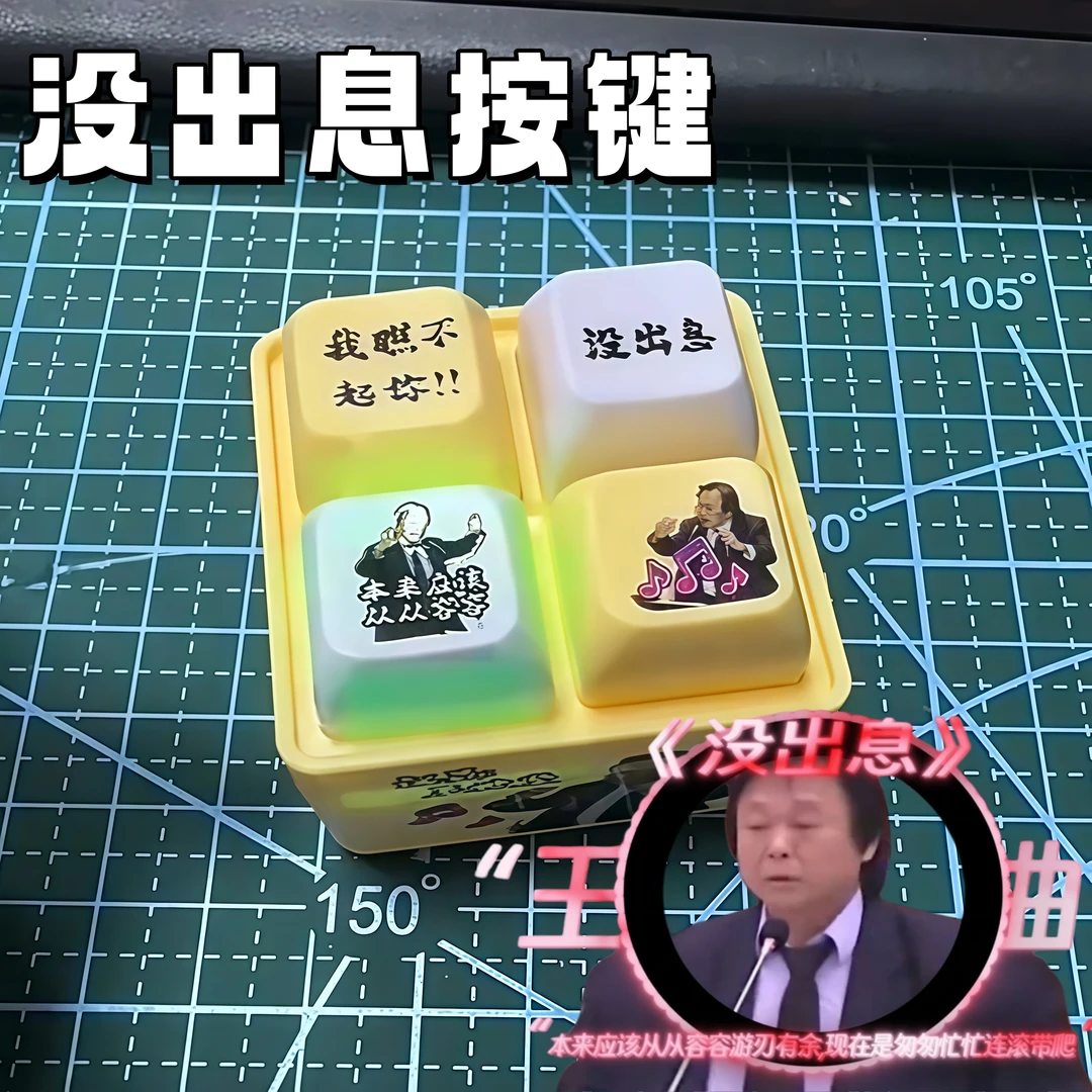 没出息发声按键王世坚语音发光钥匙扣挂件创意解压整蛊玩具超抽象