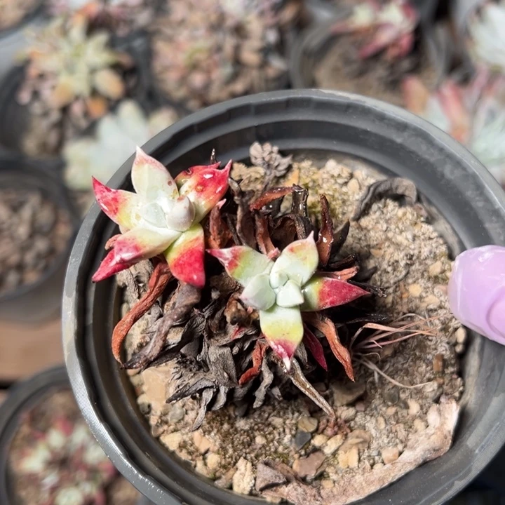 458个哈哈哈哈哈哈哈哈