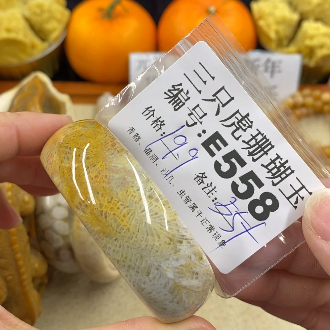 硅化珊瑚（珊瑚玉）1未镶嵌鱼