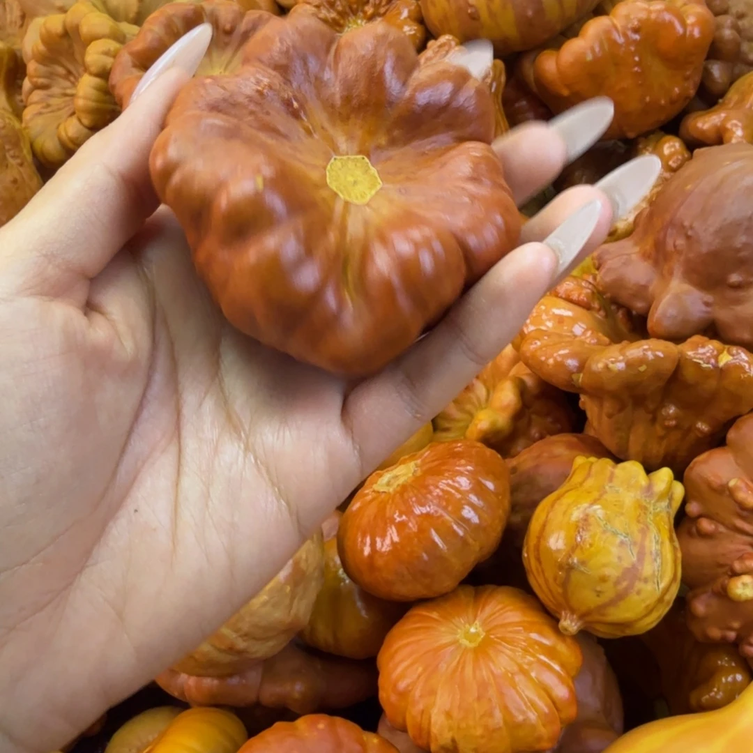 ****合饿哦饿哦饿哦饿哦饿哦饿哦