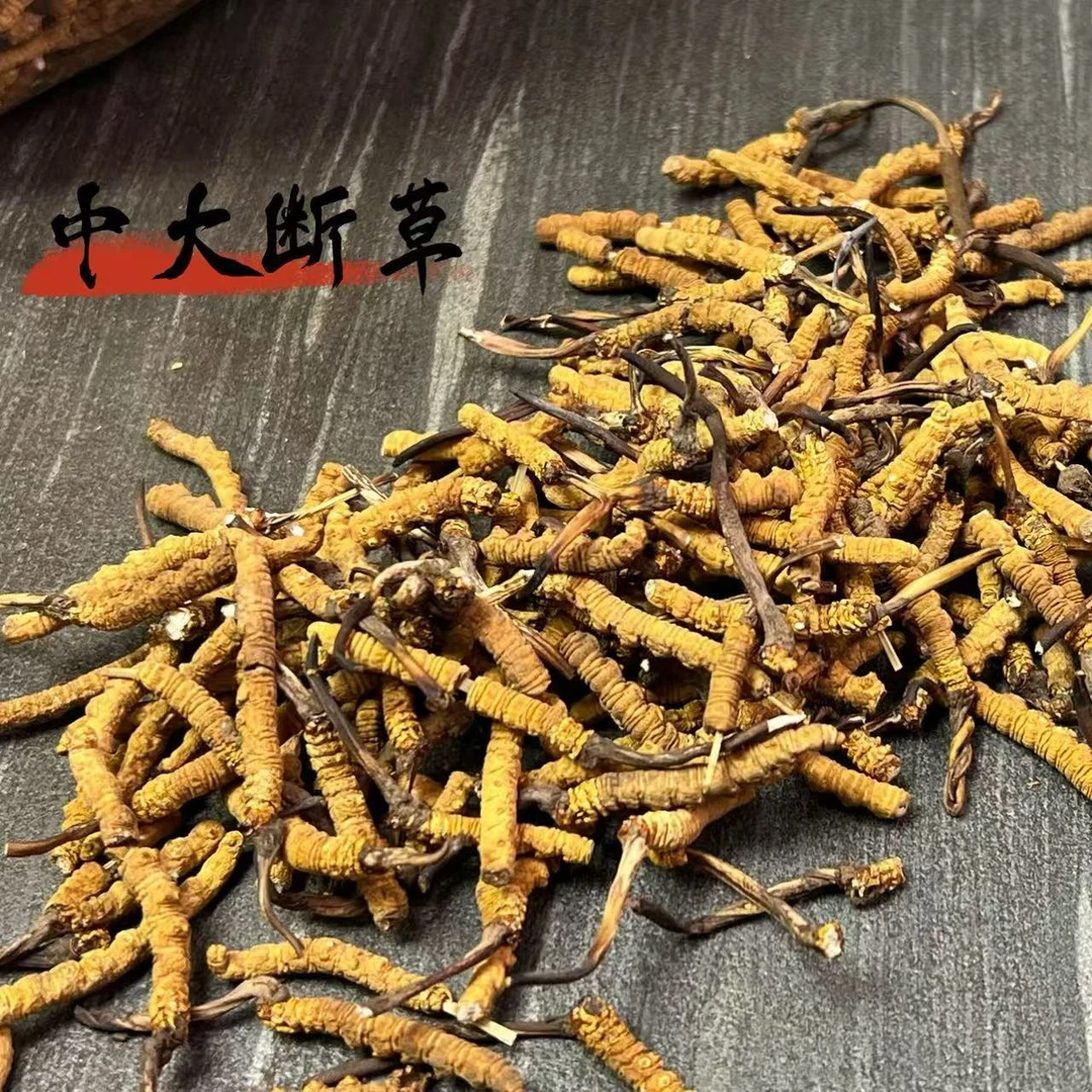 那曲【冬虫夏草】134克 中大断草 2025新干草 自然晒干 品质滋补