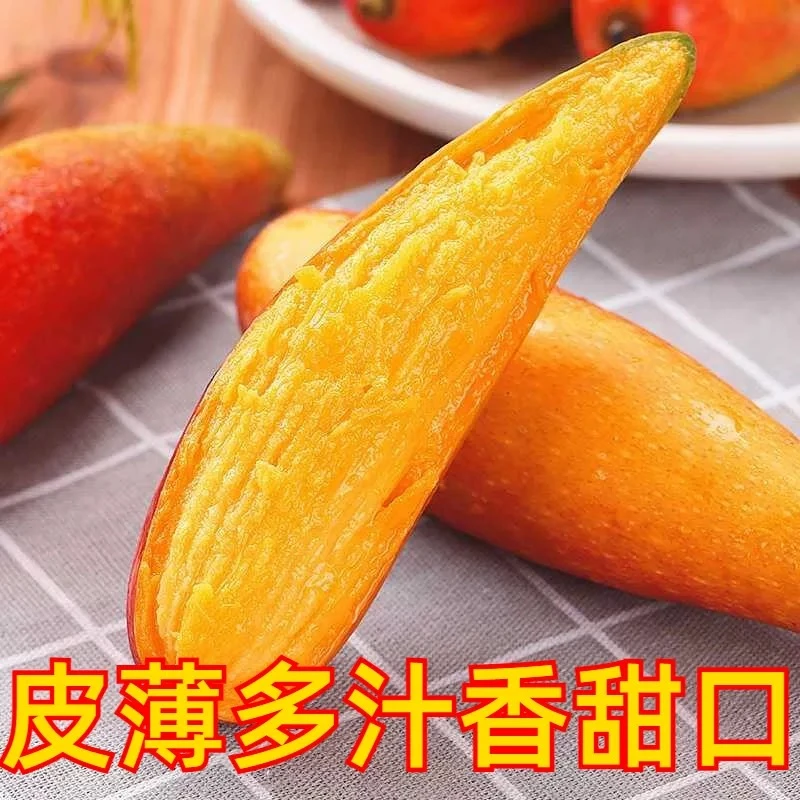 广西百色精品辣椒芒送礼推荐当季节新鲜芒果香甜多汁产地水果生鲜