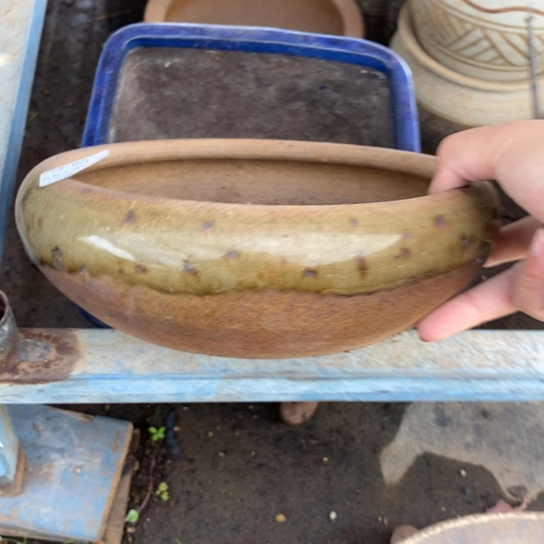 80号多肉盆口径18