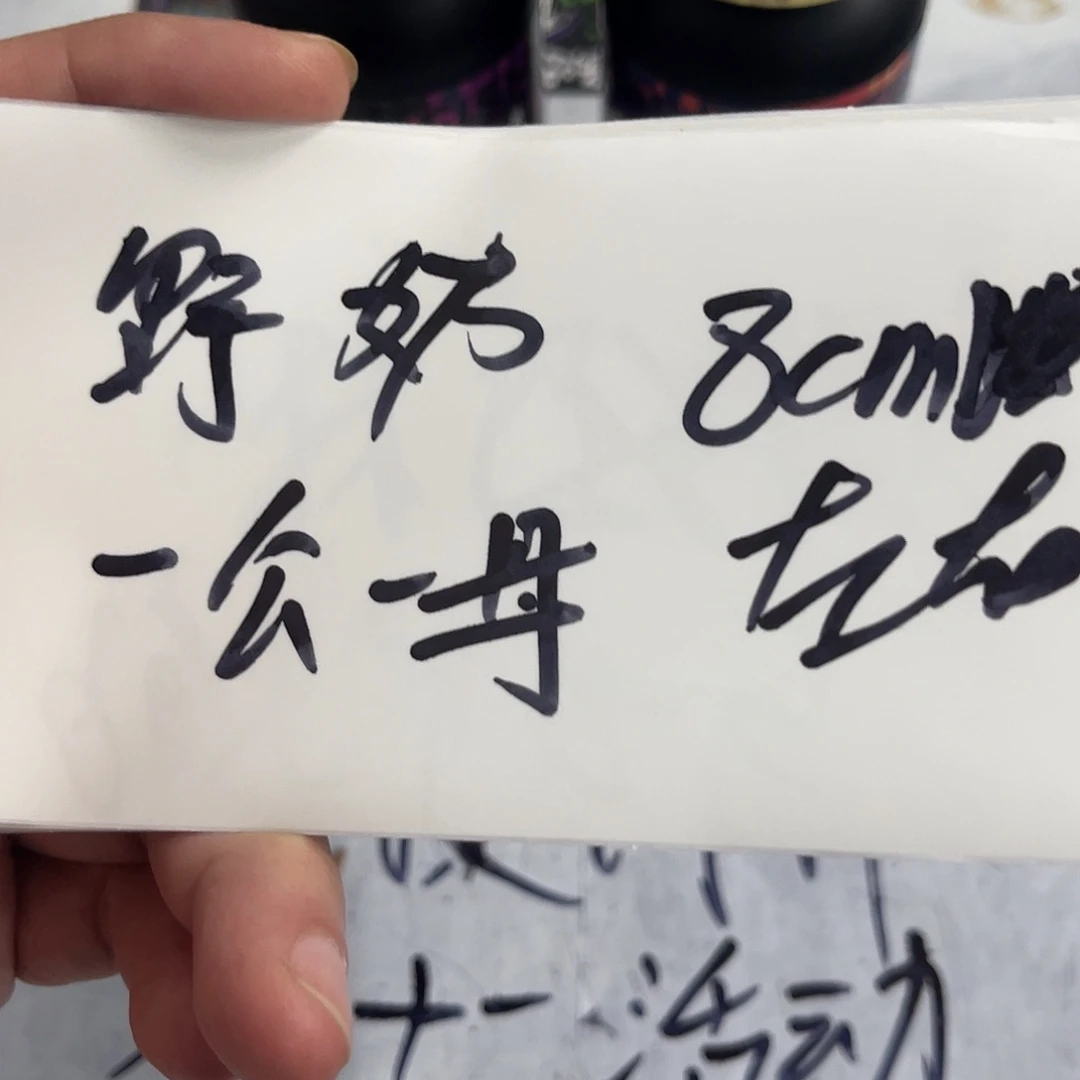 雷龙鱼野奶茶一公一母111挑选好的