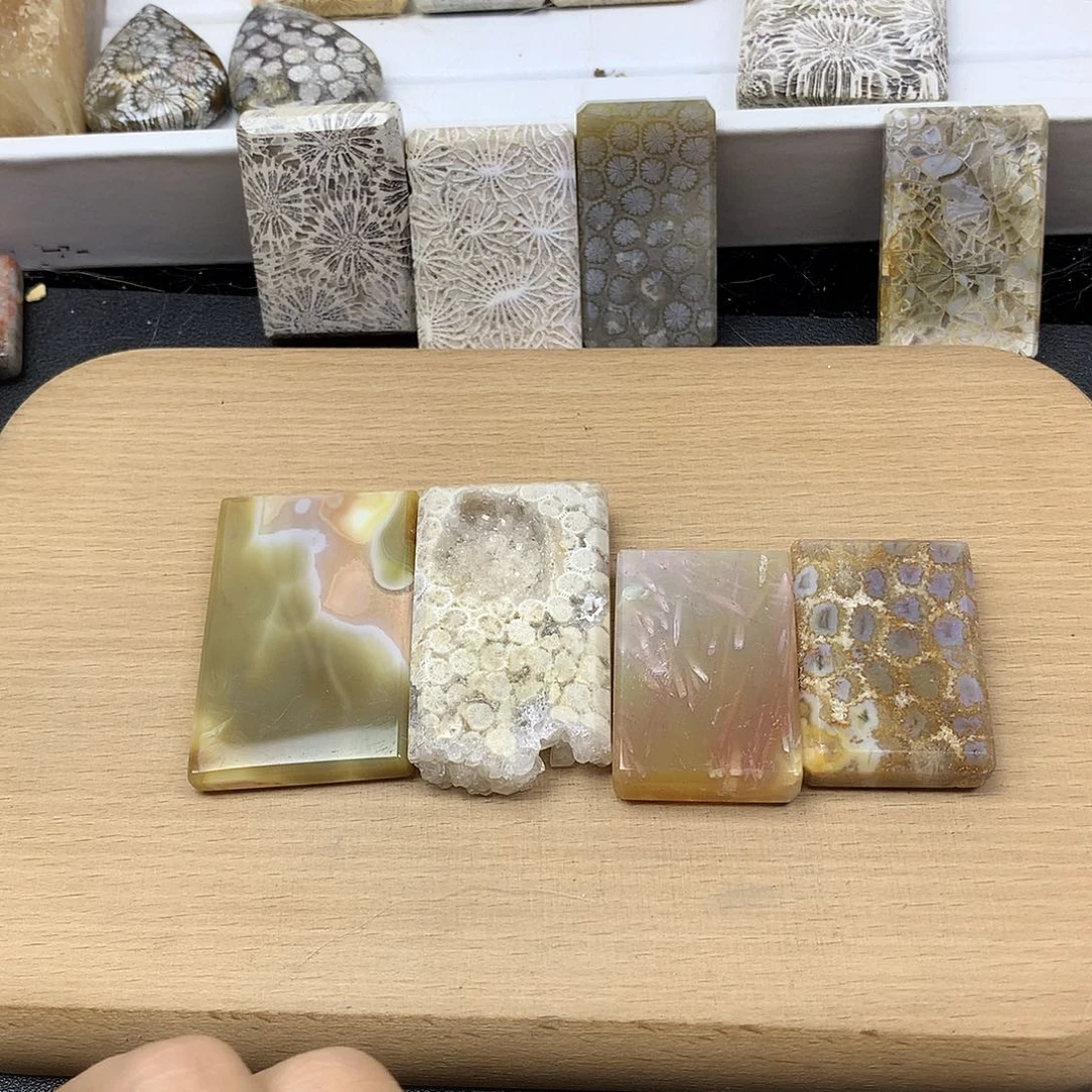 森***火硅化珊瑚（珊瑚玉）未镶嵌颈饰