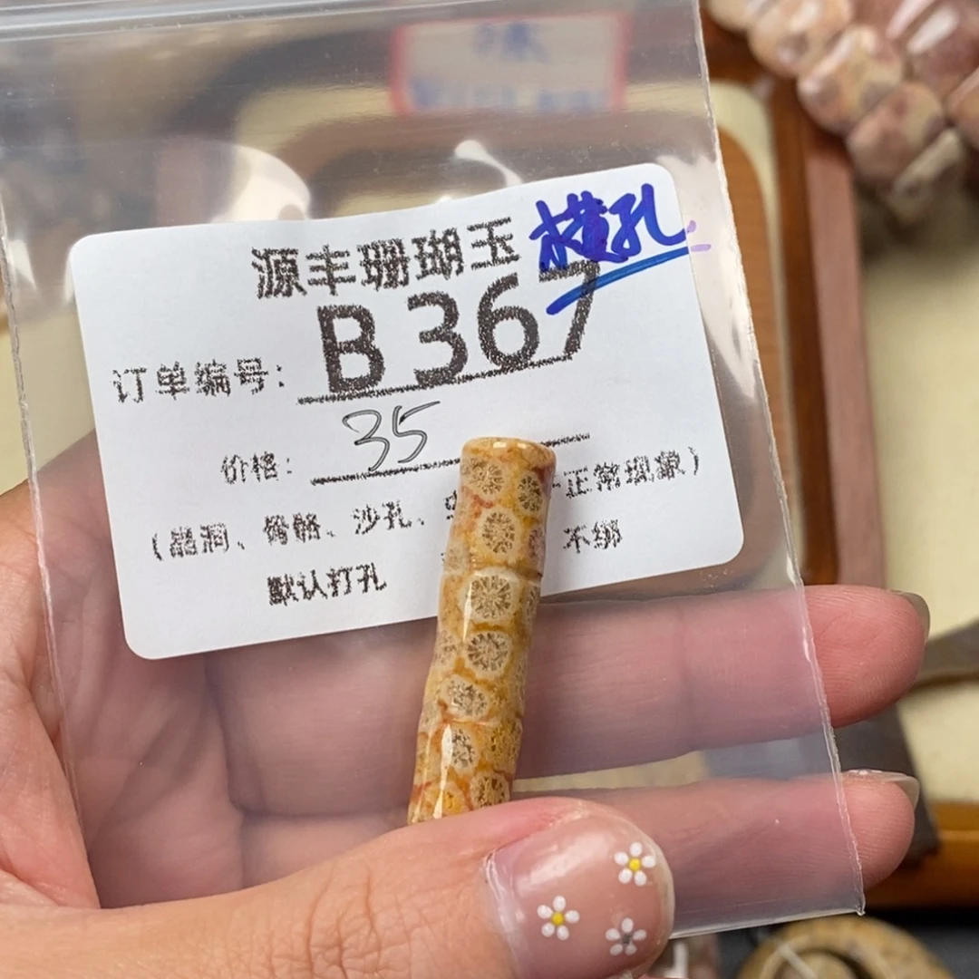*****硅化玉未镶嵌颈饰