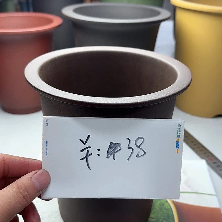 紫砂22222222222222222