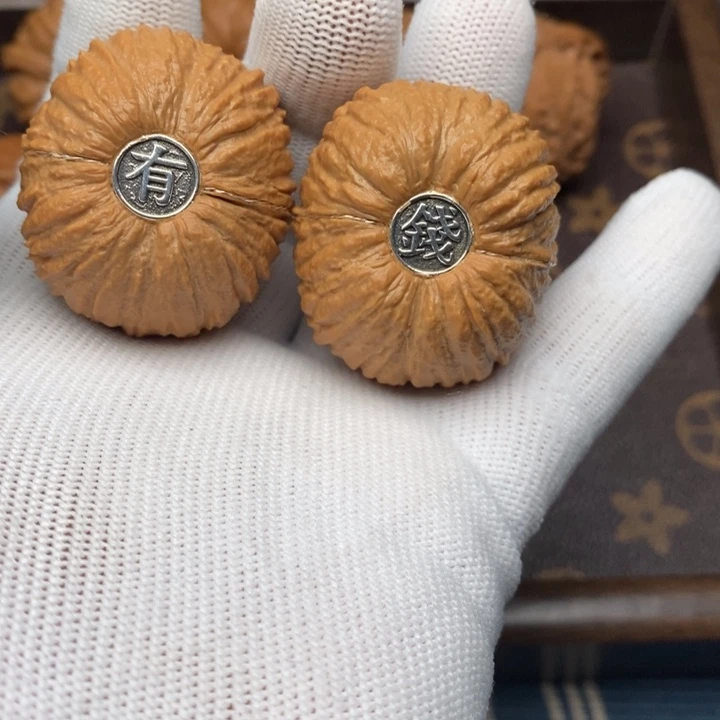 猴头元宝40尺寸….