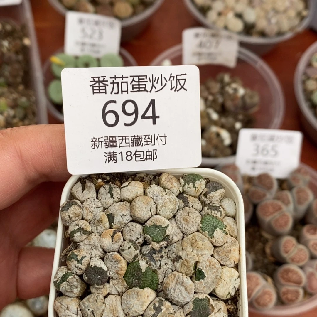 感谢您的支持，00694