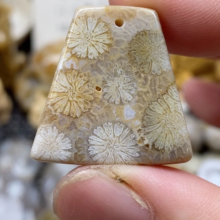 颈饰未镶嵌硅化珊瑚（珊瑚玉）有瑕 小