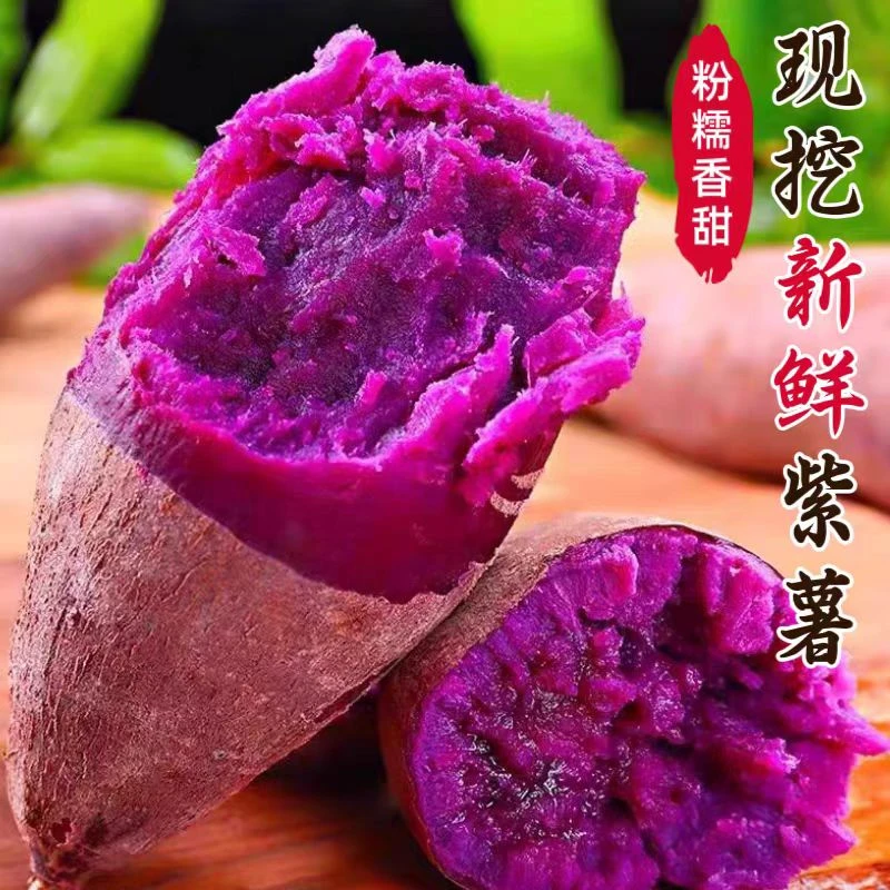 新鲜紫薯 红薯番薯地瓜香甜粉糯大中小果净重4.5斤坏果包赔
