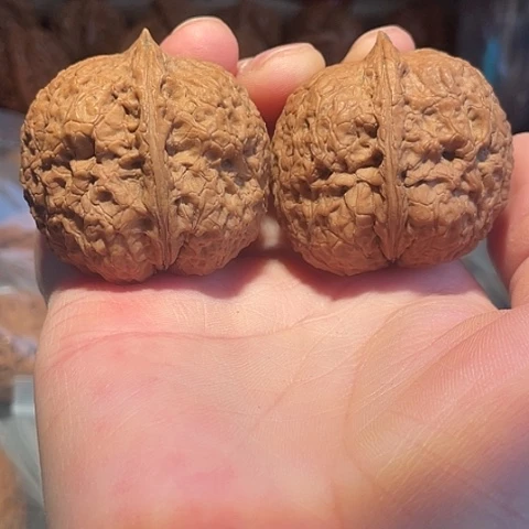 把件文玩核桃铁狮子带彩43